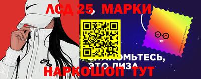 молекула духа Кингисепп