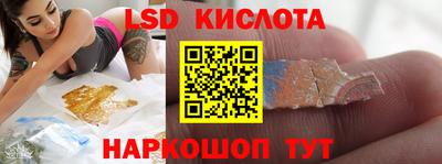 молекула духа Кингисепп