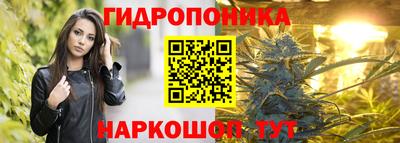 молекула духа Кингисепп