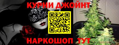 молекула духа Кингисепп