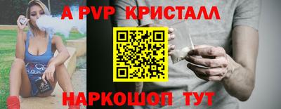 молекула духа Кингисепп