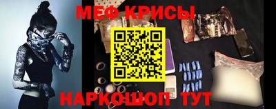 молекула духа Кингисепп