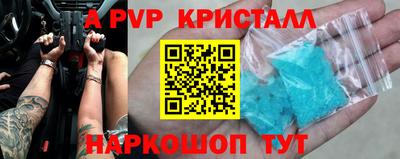 молекула духа Кингисепп