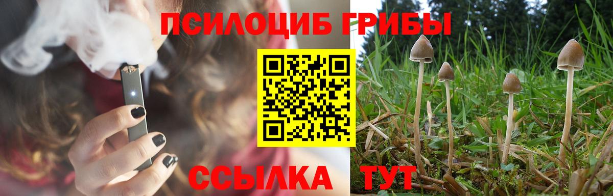 Галлюциногенные грибы прущие грибы  Вход с VPN  Карачаевск 